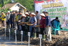 Tanam Perdana Cetak Sawah Rakyat di OKU Timur, Gubernur Sumsel Sampaikan Pesan Penting untuk Petani
