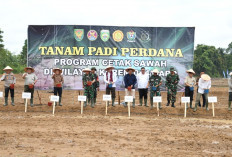 Gelar Tanam Padi CSR di Muara Enim, Ini Pesan Disampaikan Danrem Gapo