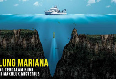 Menyelami Misteri Terdalam di Bumi, 6 Fakta Unik Palung Mariana yang Mengungkap Dunia Rahasia di Dasar Samudra