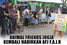 AFJ F.A.I.R Hadir Kembali! Festival yang Lantang Suarakan Kesejahteraan Ayam Petelur