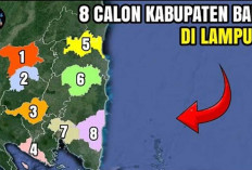 Selain Sumatera Selatan Barat, Lampung Juga Segera Usulkan Pemekaran, Ini 8 Kabupaten yang Bakal Ditambah