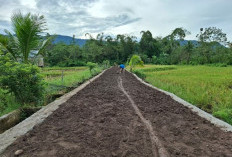 Awalnya Tanah Berlumpur Kini Disulap Jadi Akses Jalan Mumpuni, Ini Kata Kades Pelajaran Lahat