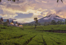   Sumatra Selatan Punya Banyak Potensi Wisata Meski Tidak Punya Bandara Internasional