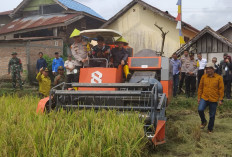 Perum Bulog Lahat Siap Tampung Padi dari Petani dan Gapoktan, Ini Katanya