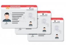 Negara-negara Ini Akui SIM Internasional Indonesia