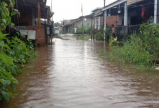 Hujan Deras Sejak Dini Hari, Banjir Terjang Pemukiman Kampung Air Betung