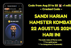 Klaim Sebelum Jam 19.00, Inilah Sandi dan Combo Harian Hamster Kombat 22 Agustus 2024, Jutaan Koin Menanti!