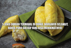 5 Jenis Durian Termahal di Dunia, Harganya Selangit, Hanya Para Sultan yang Bisa Menikmatinya!