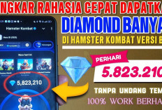 3 Trik Rahasia Hamster Kombat untuk Mendapatkan Diamond Terbanyak di Interlude Season!