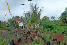 INOVASI! Kolaborasi Pemdes dan TP PKK Jagabaya Lahat Ubah Perkarangan tak Terawat Untuk Ini