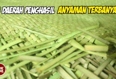 Dari Tradisi ke Trend Modern: Ini Dia 6 Wilayah Jantung Anyaman Terbaik Indonesia yang Mendunia!