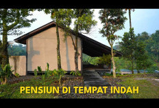 Hunian Hari Tua Paling Damai!  Rumah Pensiun dengan Pemandangan Alam yang Menenangkan