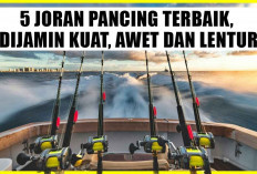 Hobi Mancing! 5 Joran Pancing Terbaik, Dijamin Kuat, Awet dan Lentur