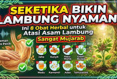Seketika Bikin Lambung Nyaman! Ini 8 Obat Herbal untuk Atasi Asam Lambung yang Sangat Mujarab