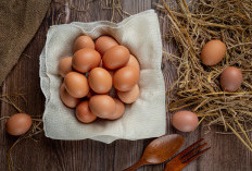 Berbahan Dasar Telur, Disulap Menjadi 5 Makanan Murah Meriah Alternatif bagi Anak Kos