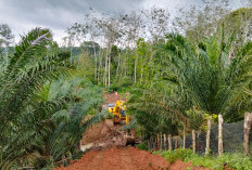 GOKIL! Begini Cara Pemdes Jajaran Baru Lahat Buka Akses Jalan dari Pemukiman Menuju Kebun, Intip Yuk