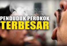 5 Negara dengan Perokok Terbesar di Dunia, Salah Satunya Hingga 70 Persen Penghisap Rokok