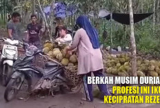 Berkah Musim Durian! Profesi Ini Ikut Kecipratan Rezeki