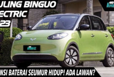 Spesifikasi Wuling Binguo EV, Desain Minimalis Menggemaskan, Cocok Jadi Mobil Listrik Perkotaan
