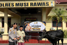 Momentum Iduladha 1447 H, Kapolda Sumsel Tebar Manfaat Melalui Bantuan Kurban di Kabupaten Ini