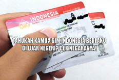 Tahukah Kamu? SIM Indonesia Berlaku di Luar Negeri? Cek Negaranya!