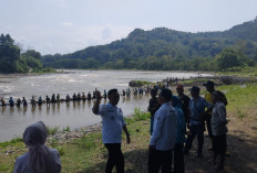 65 Hektar Sawah 3 Desa di Pulau Pinang Lahat Terancam Tak Dialiri Air, Ini Penyebabnya 