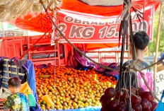 Wow, Kota Lahat Dibanjiri Buah Jeruk Tak Buat Kantong Bolong, Intip Yuk 