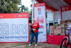 Apresiasi BUMDes dan UMKM Digital, BRI Region Office Palembang Pusatkan Kegiatan Kemerdekaan di Desa Ibru