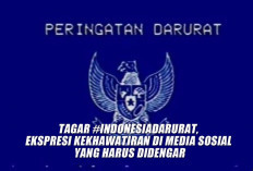 Tagar #indonesiadarurat, Ekspresi Kekhawatiran di Media Sosial yang Harus Didengar