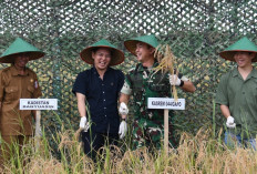 Optimalkan Lahan Tidur, Kasrem Gapo Pimpin Panen Raya Padi Gogo