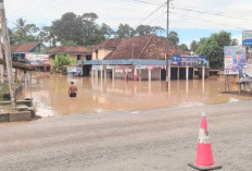 Wakil Bupati Innayatullah Sebut Banjir di Musi Rawas Utara Tahun 2024 Terbesar, Cek Kondisi Air Saat Ini!
