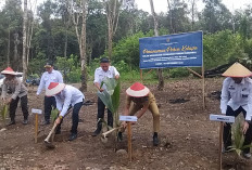 Sukseskan Asta Cita Presiden RI, Kolaborasi Lapas dan Bapas Kelas llA Lahat Tanam Benih Kelapa, Ini Kata Sekda