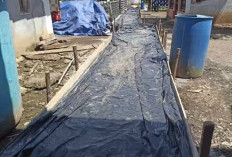 Hubungkan Dusun 1 dan 2, Pemdes Sinjar Bulan Lahat Bangunkan Fisik Ini, Intip Yuk 