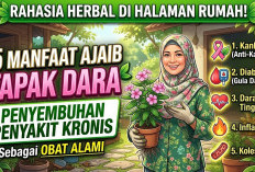 Rahasia Herbal di Halaman Rumah! Inilah 5 Manfaat Ajaib Tapak Dara untuk Penyembuhan Berbagai Penyakit Kronis 