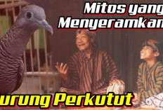 Dipercaya Bisa Hidup di Dua Alam, Ini 3 Mitos Burung Perkutut yang Bikin Banyak Orang Jawa Takut Pelihara!
