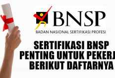 Inilah Manfaatnya! Sertifikasi BNSP Penting untuk Pekerja, Berikut Daftarnya