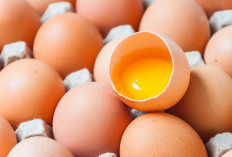 4 Daerah Penghasil Telur Ayam Terbanyak di Indonesia, Jawa Timur Gak Ada Lawan