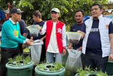 Pemkot Palembang dan Karang Taruna Tebar 1.000 Bibit Ikan Lele hingga Donor Darah di Bulan Bhakti 2025
