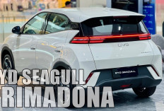 BYD Seagull Jadi Primadona! Tembus 1 Juta Unit Penjualan di China dan Eropa