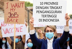 Banten Juara 1 dari 10 Provinsi dengan Tingkat Pengangguran Tertinggi di Indonesia, Bagaimana Palembang?