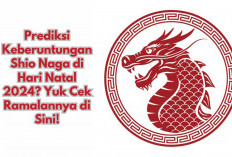 Bagaimana Prediksi Keberuntungan Shio Naga di Hari Natal 2024? Yuk Cek Ramalannya di Sini!