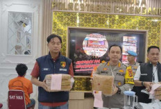 Kembangkan Ungkap Kasus 17 Kg Ganja Polsek Sukarami, Polrestabes Palembang Bakal Gandeng Polda Bangka Belitung