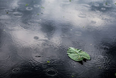 Prakiraan Cuaca di Sumsel Kamis 27 November 2025, Prabumulih Turun Hujan Sedang