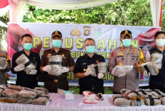 Wah! Ada Pemusnahan Ganja Sebanyak 35 Kg di Polres, Ada Sosok Petinggi Kejari OKU Timur Hadir, Ini Buktinya