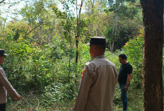 Jaga Alam untuk Masa Depan, Polisi Aktif Cegah Karhutla di Tanjung Batu