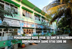 Siang Atau Sore Ini Hasil PPDB SD-SMP Palembang Diumumkan, Harap Bersabar