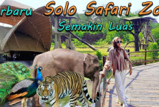 Ingin Liburan Singkat di Solo? Ini 7 Tempat Wisata Hits yang Bikin Nagih!