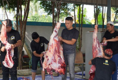 Iduladha 1446 H, PLN UIP Sumbagsel Salurkan Daging Kurban kepada Masyarakat 