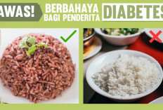 5 Pilihan Makanan Penderita Diabetes yang Aman, Apa Saja?