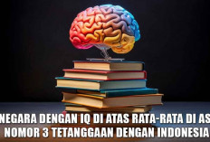 6 Negara dengan IQ di Atas Rata-rata di Asia, Nomor 3 Tetanggaan dengan Indonesia